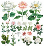 Set di elementi acquerello di fiore di loto , rose, e ortensie, mughetto; collezione fiori da giardino; foglie;  Disegno floreale di matrimonio su sfondo bianco scontornabile