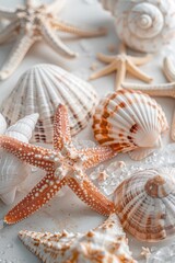 Poster - Close up of shells and starfish on a table, perfect for beach-themed designs