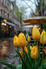 Poster - Yellow tulips sitting in the rain, suitable for nature and gardening themes
