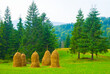 heap of haystack on green mountain pasture at summer day