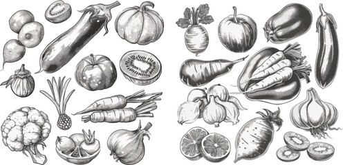 Hand drawn organic food, engraving vegetable and fruit sketch