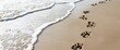 Sandy paws leaving delicate imprints in the shoreline's soft sand, Summer Background