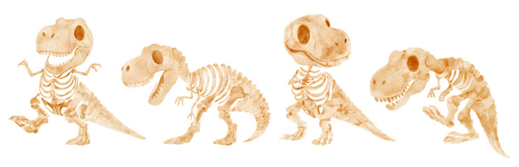 Wall Mural - Tyrannosaurus Rex dinosaur skeleton . Watercolor paint cartoon characters . Set 1 of 4 . Vector .