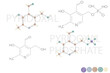 pyridoxal phosphate molecular skeletal chemical formula