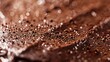 Glistening chocolate ganache tart dusted with cocoa powder