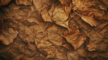 Close-up Of A Bunch Of Brown Leaves, Suitable For Autumn Themes