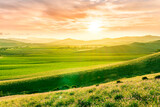 Fototapeta Młodzieżowe - Scenic view at beautiful spring sunset in a green shiny field with green grass and golden sun rays, beautiful cloudy sky on a background