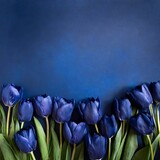 Fototapeta Tulipany - Niebieskie kwiaty tulipany tło