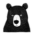 Cute little animal head black bear, black doodle isolated on white illustration