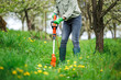 Woman is trimming lawn by grass trimmer. Spring gardening