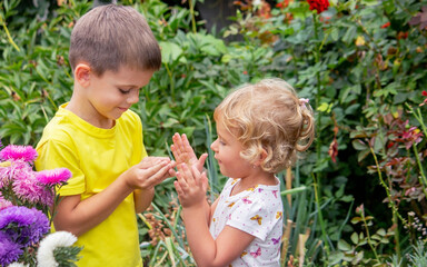 Wall Mural - two happy children catch and admire butterflies