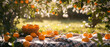 Picnic at blooming oranges or tangerine garden. Cute Wicker basket with citrus fruits,meal, beverage, tablecloth on the grass. Outdoors rest. Vacation on the nature. Generative ai