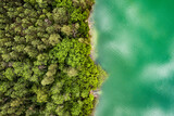 Fototapeta Koty - Aerial view of beautiful Balsys lake, one of six Green Lakes, located in Verkiai Regional Park. Birds eye view of scenic emerald lake surrounded by pine forests. Vilnius, Lithuania.