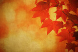 Fototapeta Zachód słońca - Autumn leaves over old paper. Perfect grunge fall background..