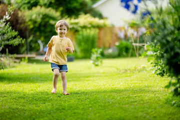 Wall Mural - Adorable little boy having fun outdoors on sunny summer day. Kid running outdoors. Child exploring nature. Summer activities for kids.