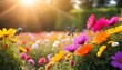Sunlight-with-diffrent-flowers-with-bird