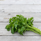 Fototapeta Lawenda - Bunch of fresh, flat-leaf parsley on a light wooden background