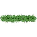 Fototapeta Sawanna - green bush, Tree Shrub Evergreen, bushes, leaf, branch, grass png
