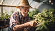 Expert Senior Horticulturist Examining Cannabis Plant in Greenhouse