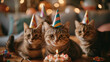 誕生日を祝う猫