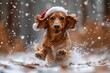A captivating image of a dog enjoying the winter snow, donning a Santa hat with flair in a forest setting