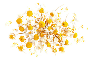 Dry chamomile flower petals
.isolated on white background