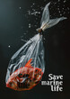 Trapped fish in a plastic bag, poster for the campaign with the text 'Save marine life'. Minimal creative concept of environmental conservation saving the environment