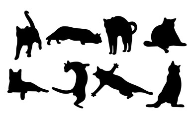 Wall Mural - Cat shadow 14 cute on a white background, vector illustration.