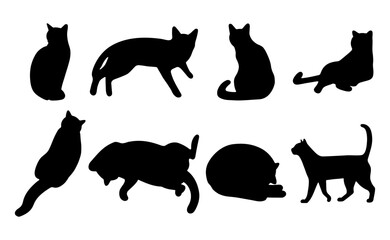 Wall Mural - Cat shadow 15 cute on a white background, vector illustration.