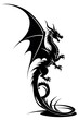 dragon tattoo, transparent PNG background