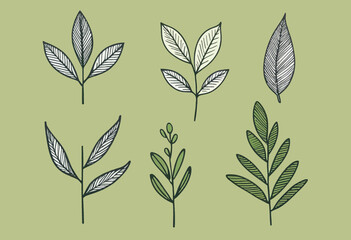 Wall Mural - Green Crayon Texture Brush Abstract Olive, Flower, Leaf Illustration