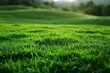 Close-up of fresh morning dew on vibrant green grass, depicting new beginnings and natural beauty