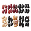 A neatly arranged row of multicolored beans, including kidney beans, black beans, and pinto beans, celebrating diversity and nutrition, isolated on transparent background