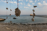 Fototapeta Przestrzenne - shells and corals strung on a string from a umbrella at the beach and red sea