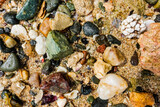 Fototapeta Przestrzenne - lot of different colorful stones and corals in the sand from a beach on vacation
