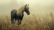 Shiny black horse with a glossy white mane in a misty field
