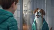 Talking pets in movies often provide comedic relief and a closeup look at our own verbal exchanges
