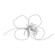 Continuous Line Celandine Flower, Minimal Chelidonium Majus Blossom Drawing, One Line Art Greater Celandine, Tetterwort, Healing Herbs Logo