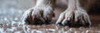 Moisturizing dry skin on dogs' paws, generative Ai