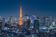 Tokyo skyline with Tokyo Tower at night, Tokyo, Japan