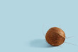 Whole coconut on a light blue background.