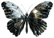 PNG Butterfly in titanium texture butterfly insect animal