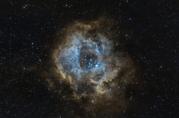rosette nebula