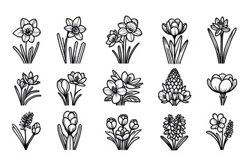 Wall Mural - Crocus line icons set, thin line and flat icons isolated on white background. Crocus sativus. Vector illustration.