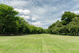 Fototapeta Las - Beautiful landscape in park with green grass field