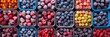 Frozen berries showing various containers arranged in a colorful mosaic