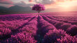 Stunning lavender field landscape