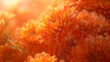 A bouquet of orange chrysanthemums Close up Copy space : Generative AI