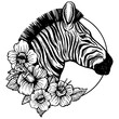 Zebra head animal engraving PNG illustration. Scratch board style imitation. Black and white hand drawn image.