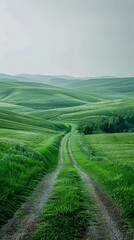 Wall Mural - Countryside dirt road through green rolling hills